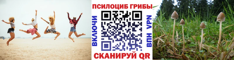 Псилоцибиновые грибы ЛСД  купить   Холм 